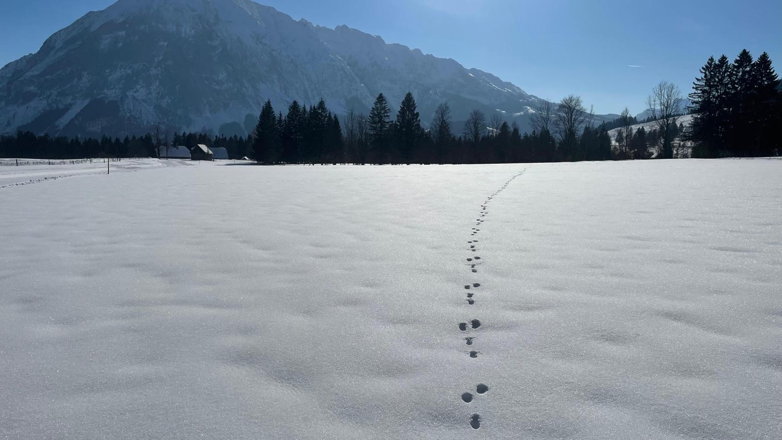 Landhaus Alpenblick Tauplitz - Zones hiver à 1 km