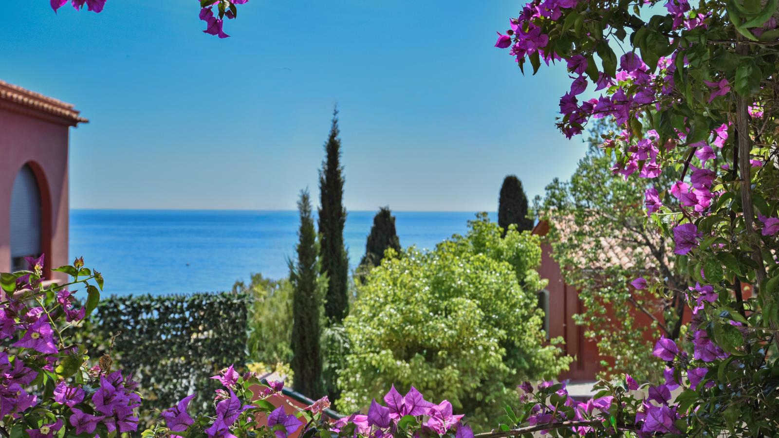 Paulette - Gardens in summer