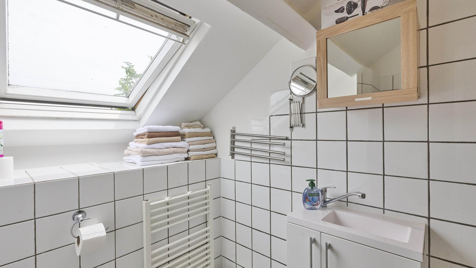 Spijk vakantiehuis - Badkamer