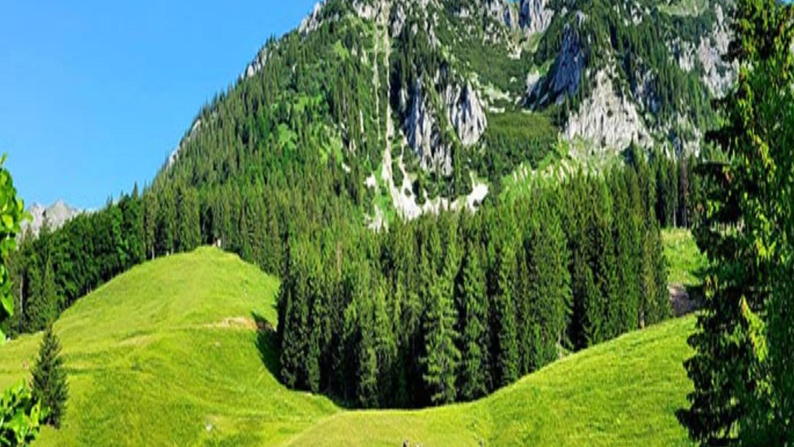 Almhütte Seebergalm