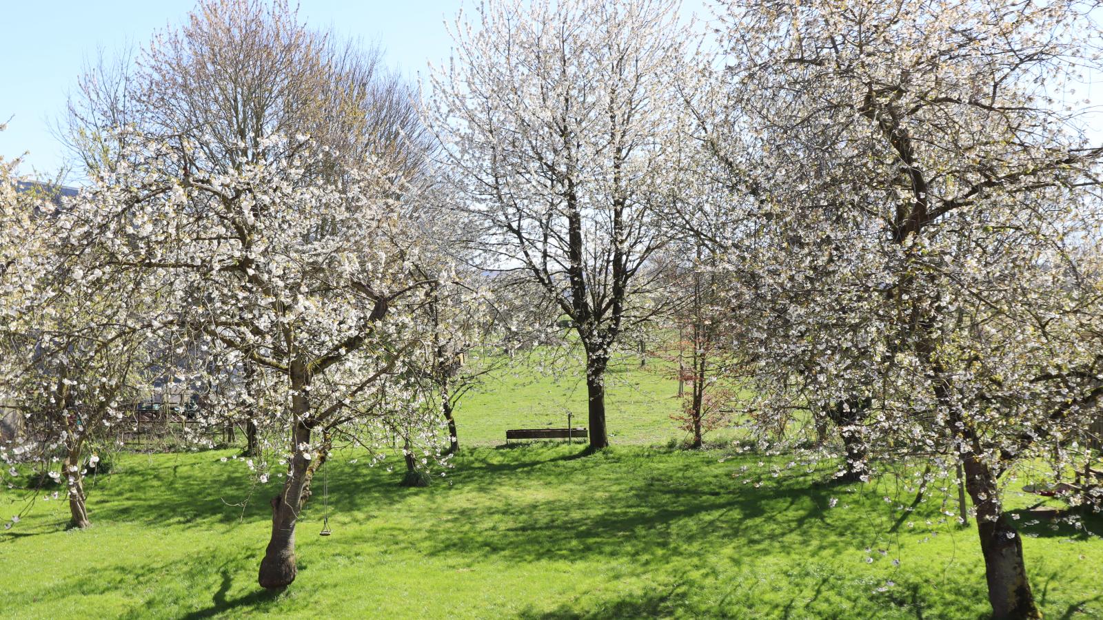 La Tour de la Chapelle - Aussicht Sommer