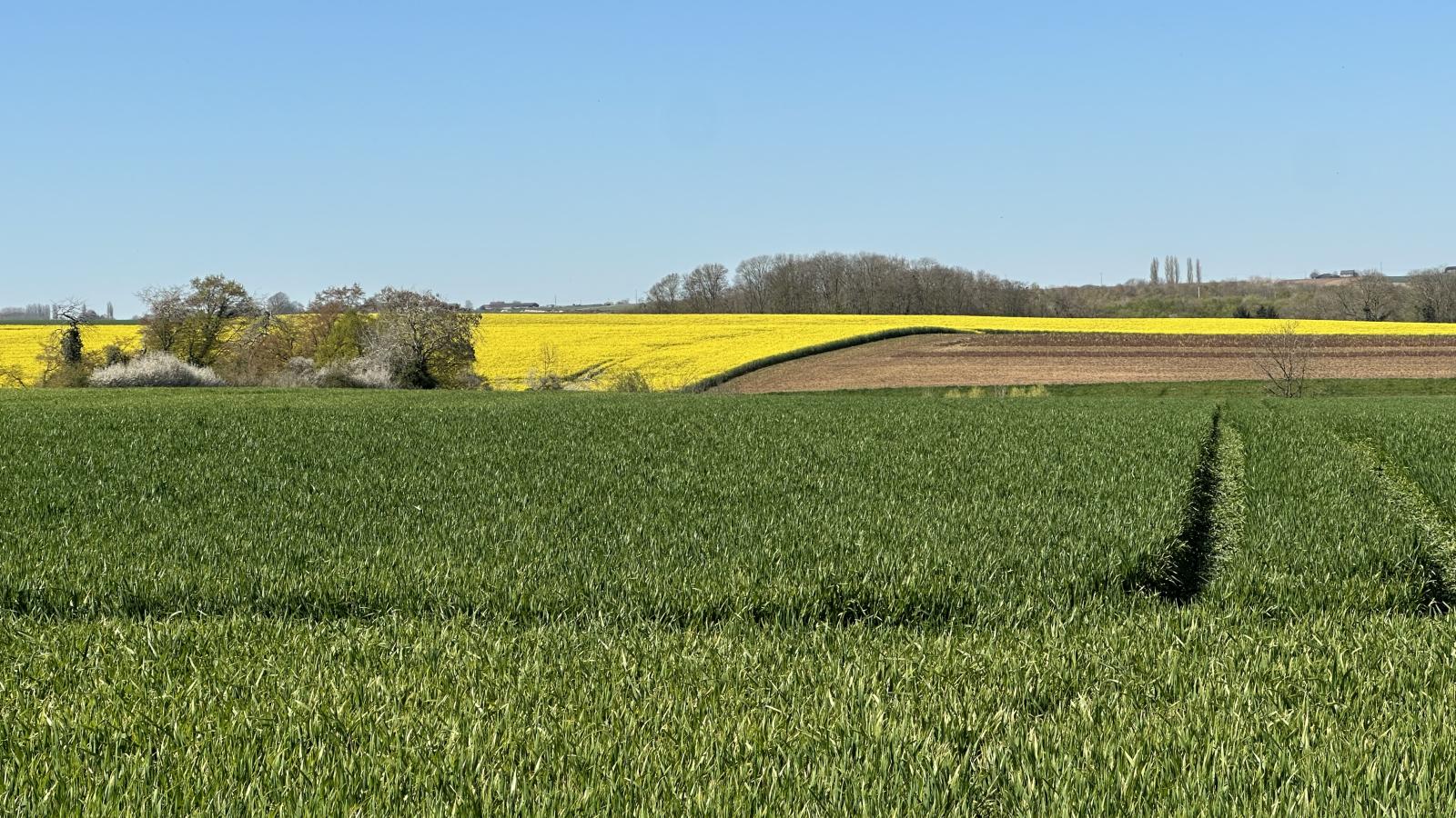 La Tour de la Chapelle