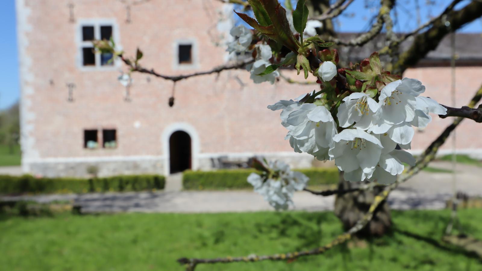 La Tour de la Chapelle - Garten Sommer