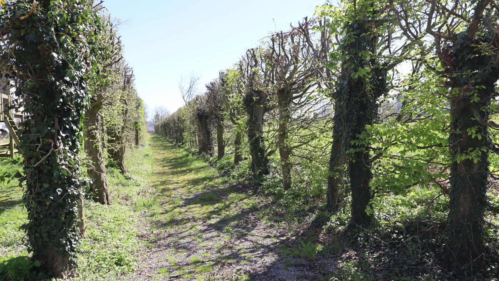 La Tour de la Chapelle - Gebiete Sommer 1 km