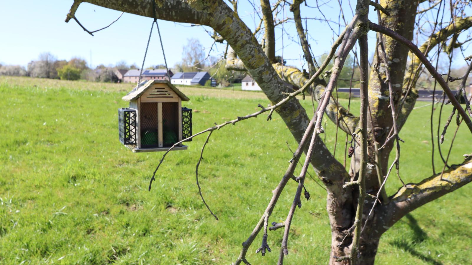 La Tour de la Chapelle - Gebiete Sommer 1 km