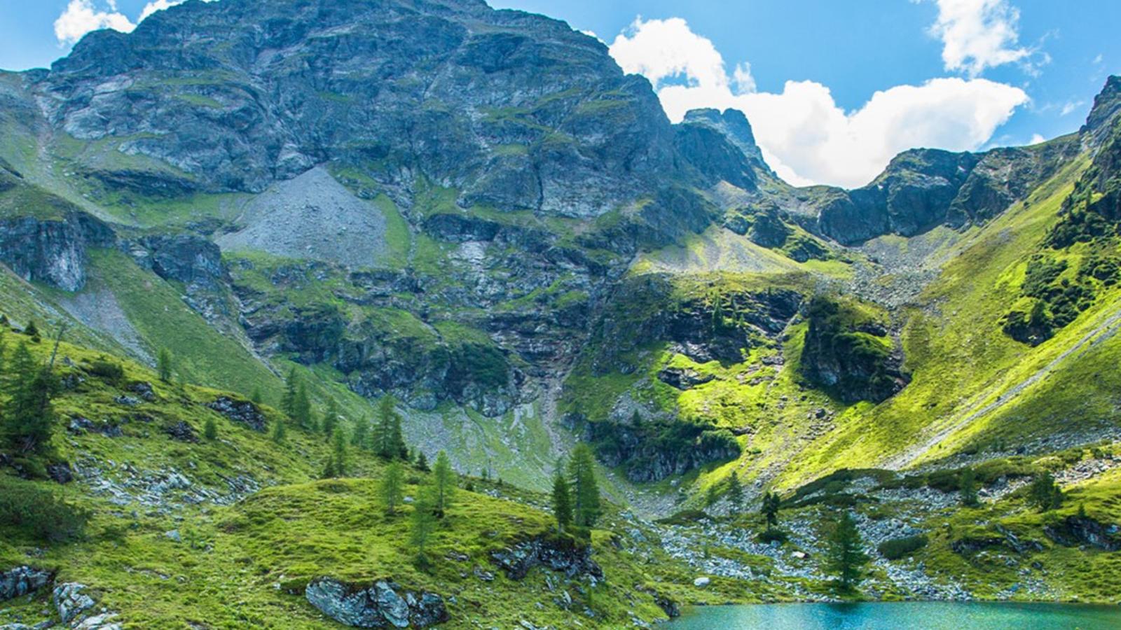 Dachstein Grand Alpine Lodge - Zones été à 20 km
