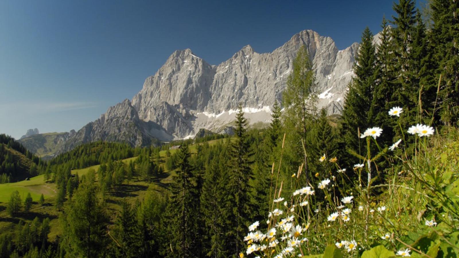 Dachstein Grand Alpine Lodge - Gebiete Sommer 20 km