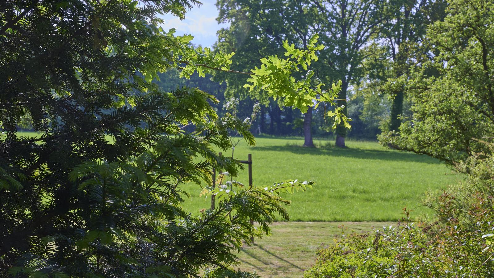 Huus in t Hagt - Vue d'été