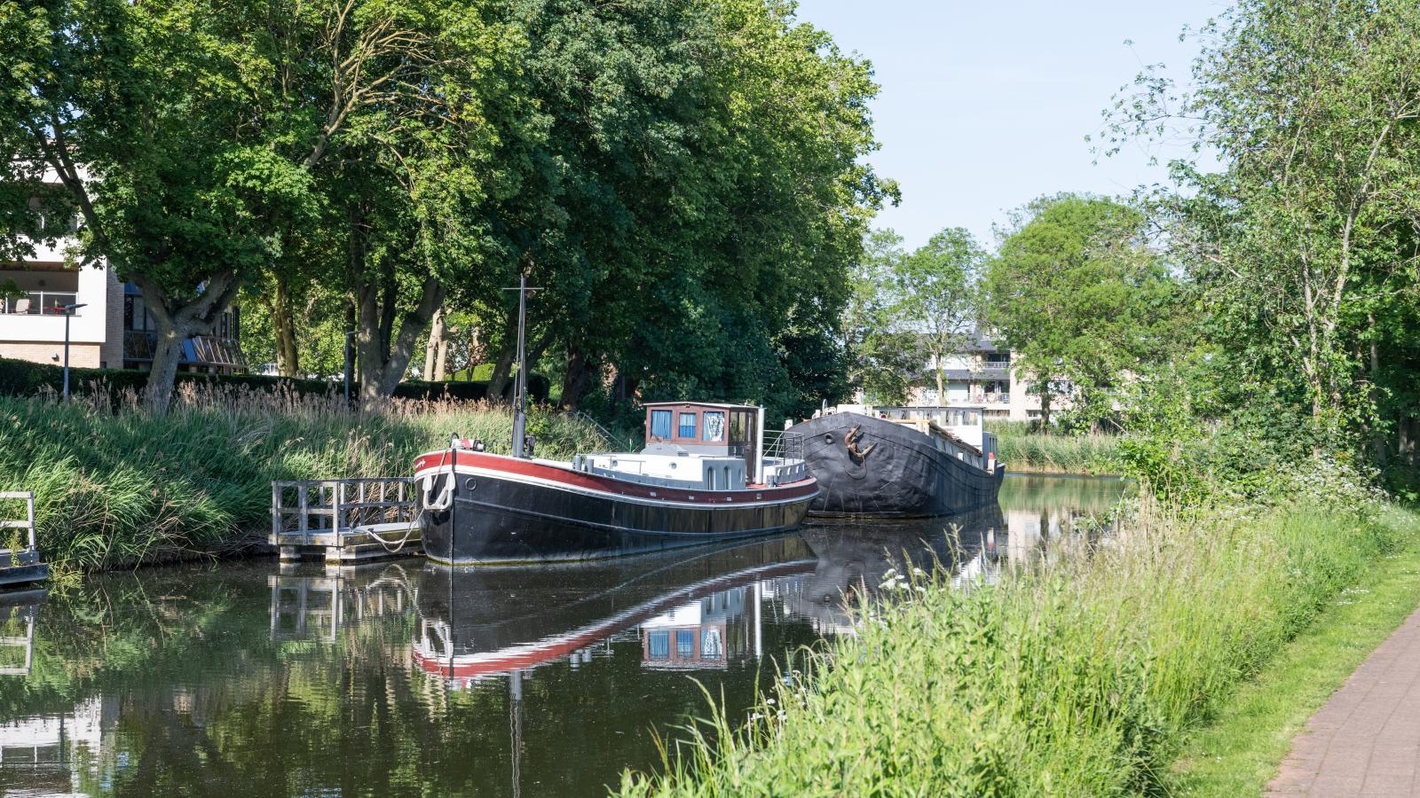 T Loftje - Areas within 5km in summer