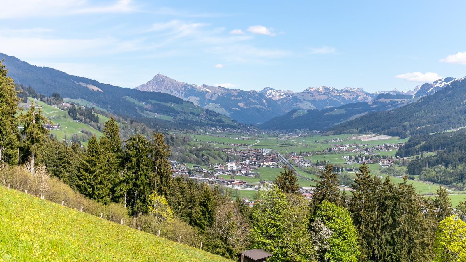 Bergkinda - Gebiete Sommer 1 km