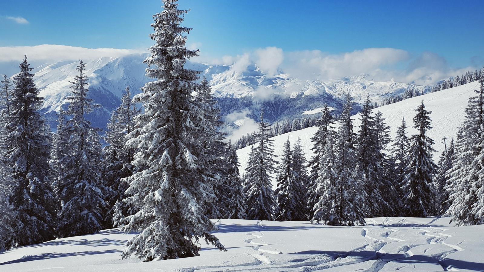 Penthouse Janita - Area within 1km in winter