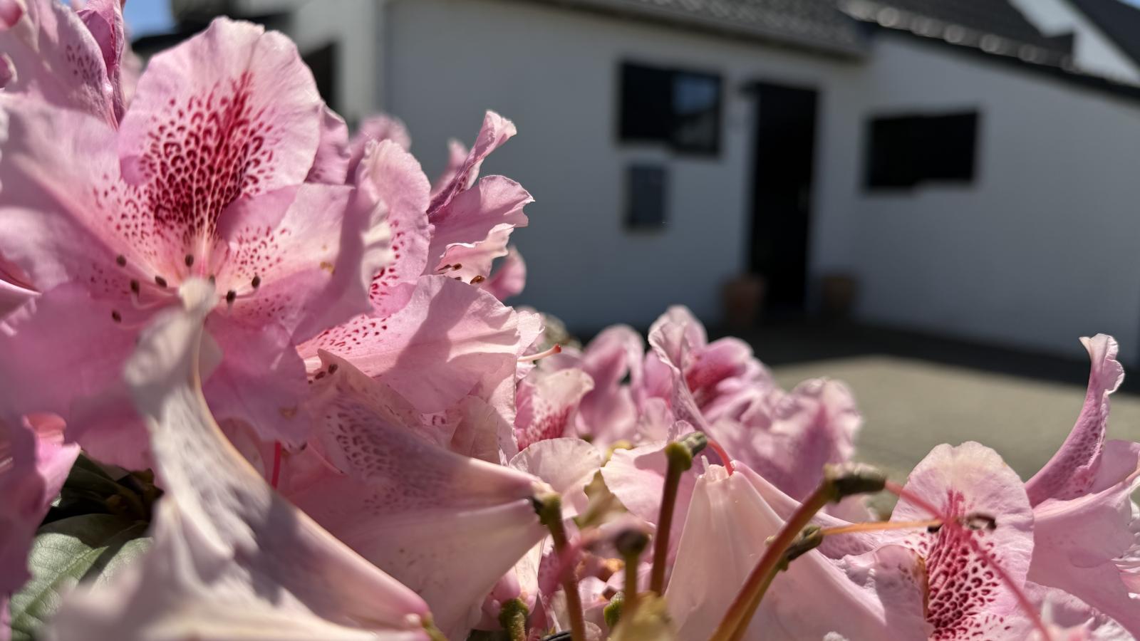 Nieuwendamme 008 - Ambiance