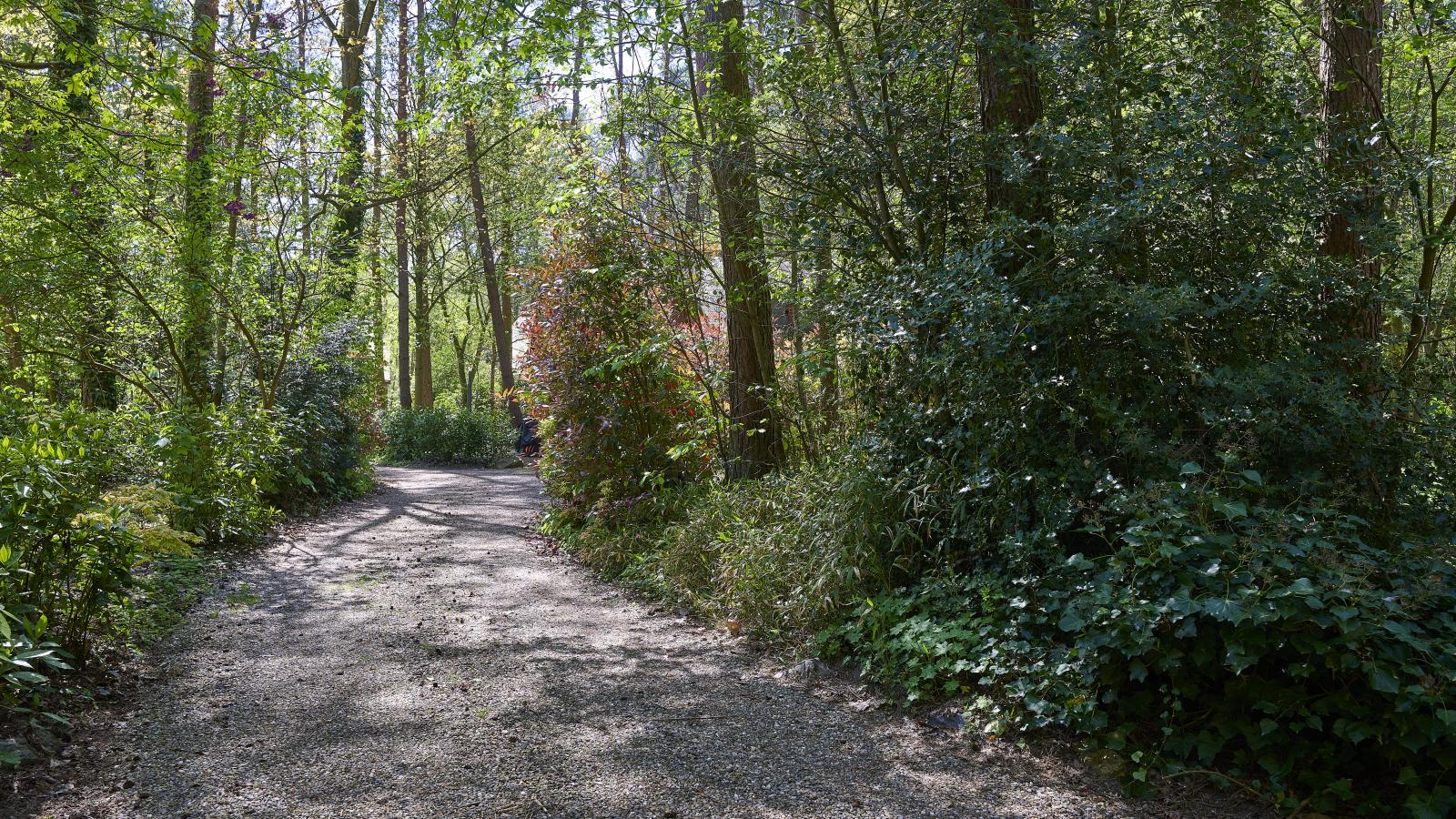 Le Petit Bois - Vue d'été