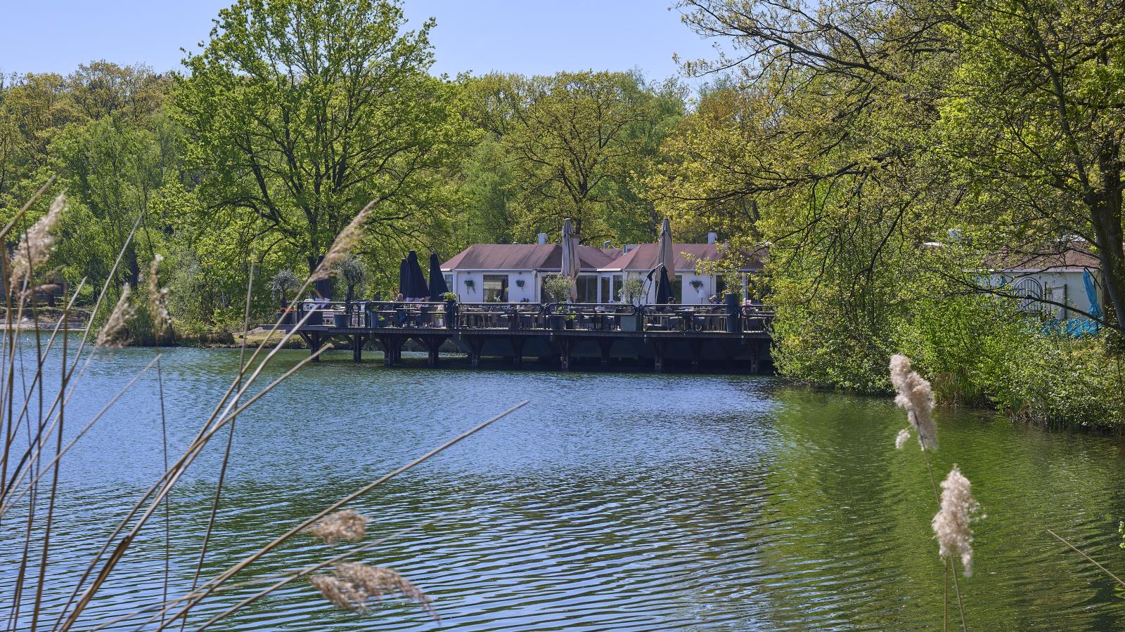 Le Petit Bois - Zones été à 1 km