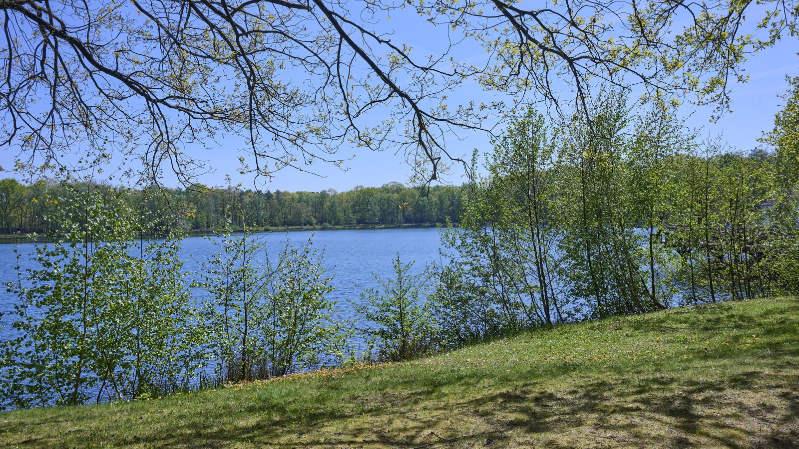 Le Petit Bois - Zones été à 1 km