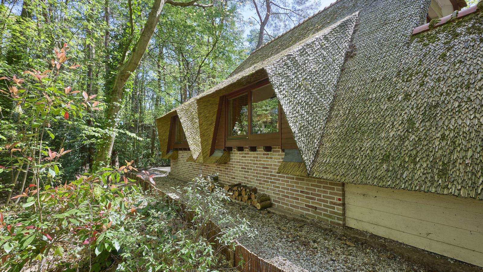 Le Petit Bois - Extérieur été