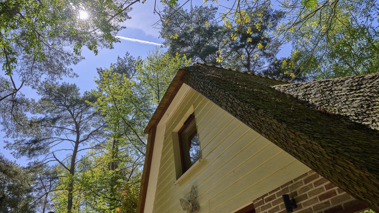 Le Petit Bois - Ambiance