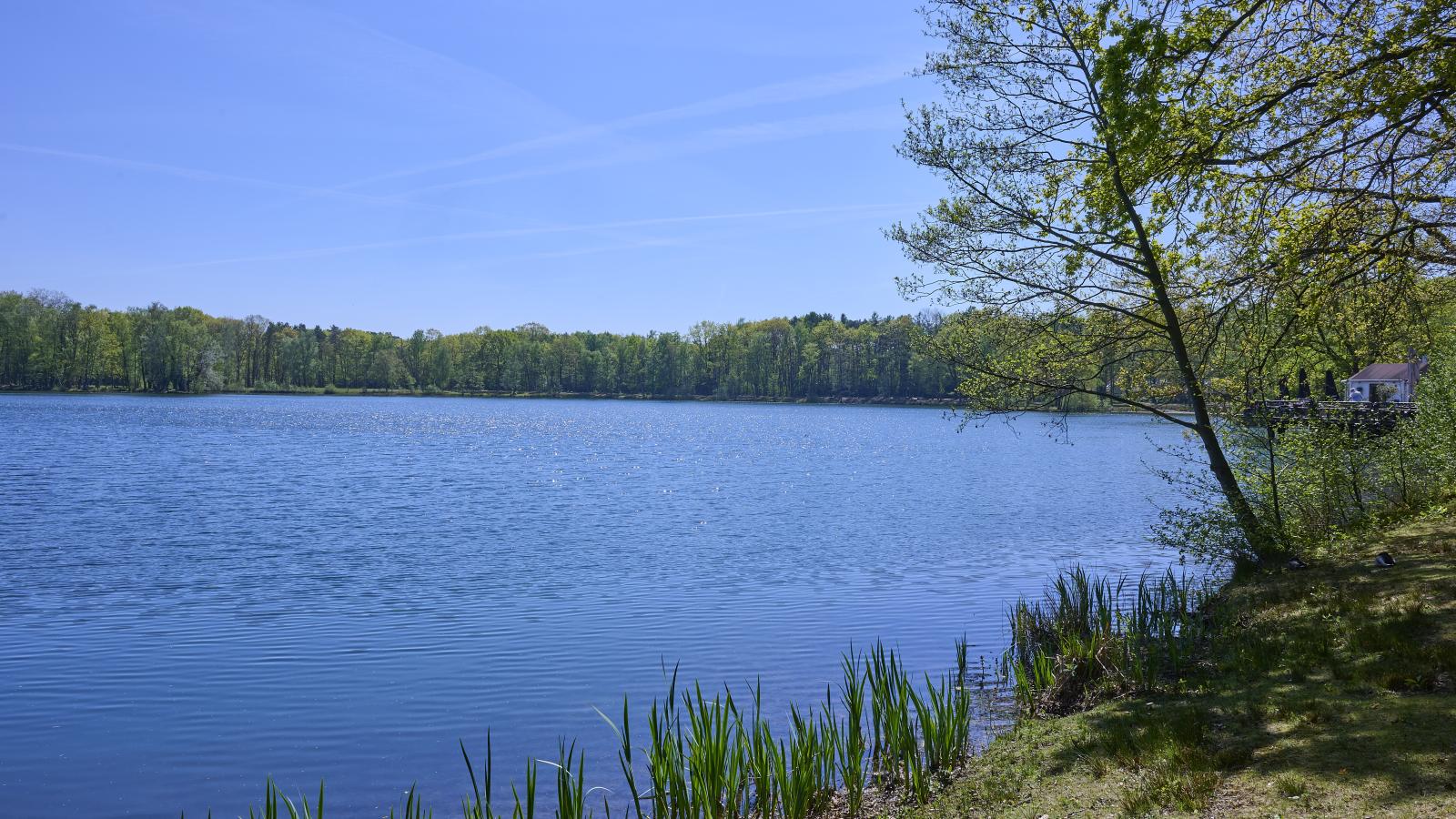 Le Petit Bois - Zones été à 1 km