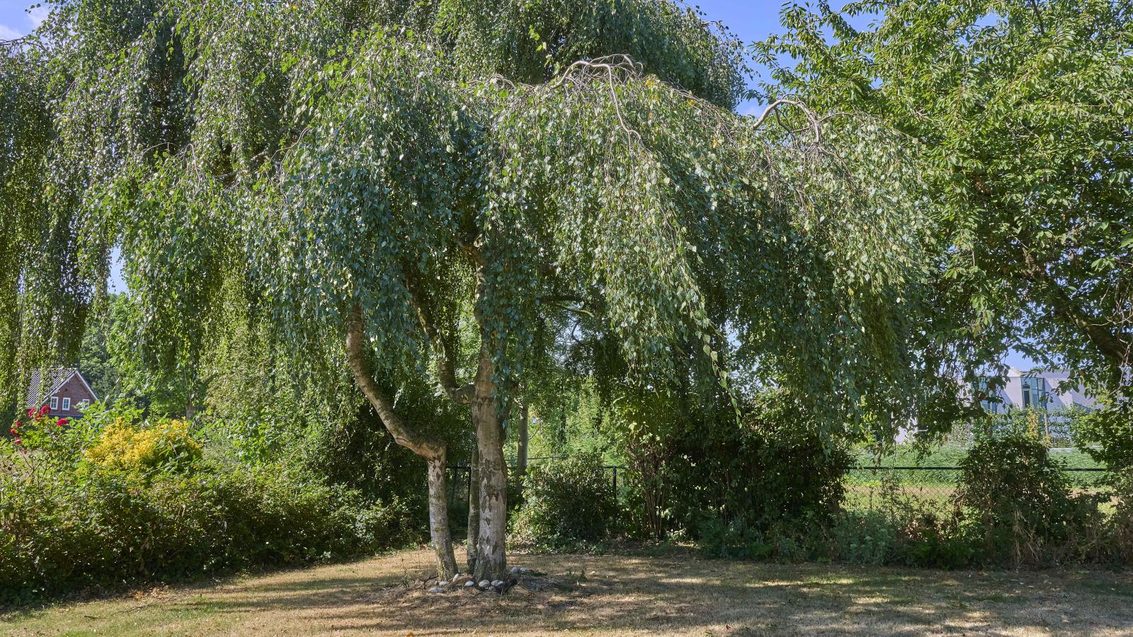 Genderens Buiten - Jardins en été