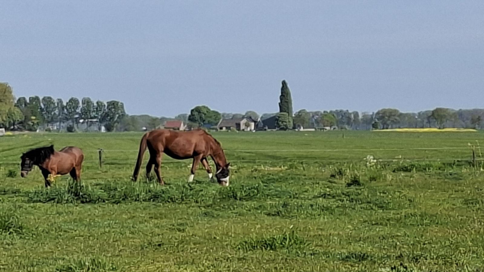 Genderens Buiten - Gebieden zomer 1km