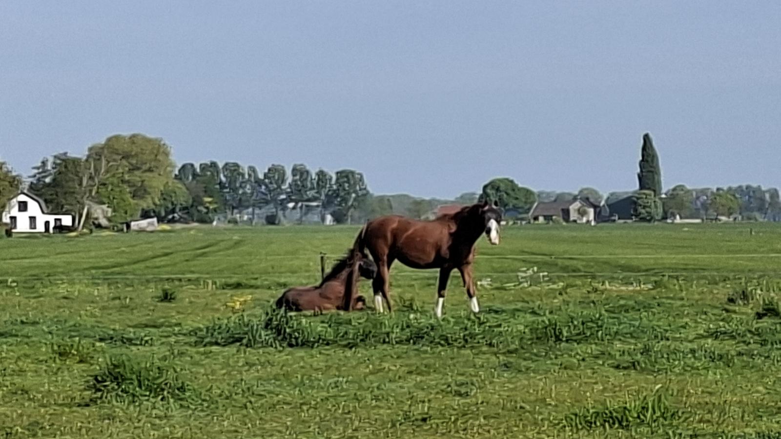 Genderens Buiten