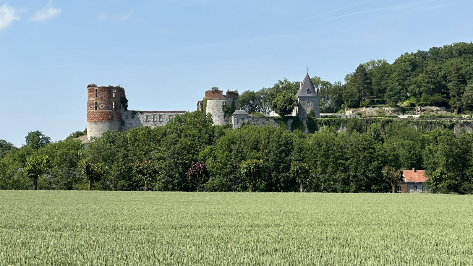 La Tulipe