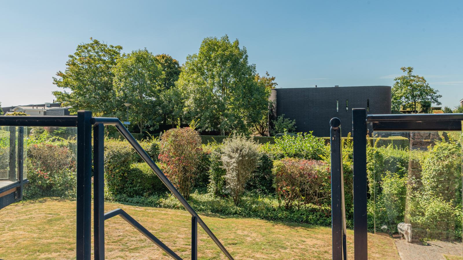Sternzicht - Uitzicht zomer