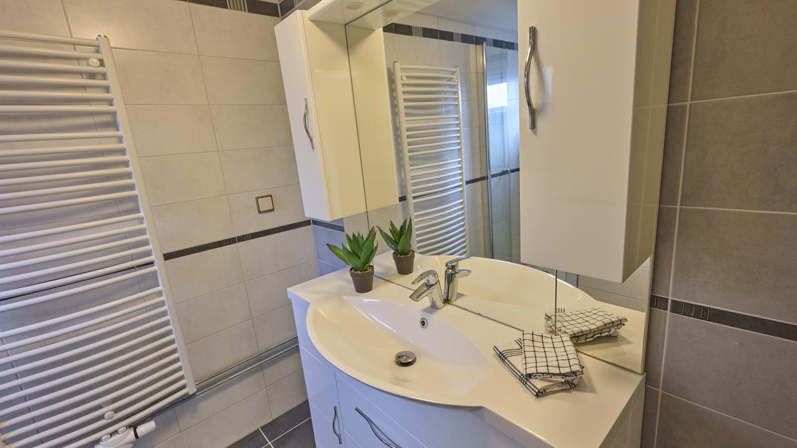 T Kaatsheuveltje 9 - Badkamer