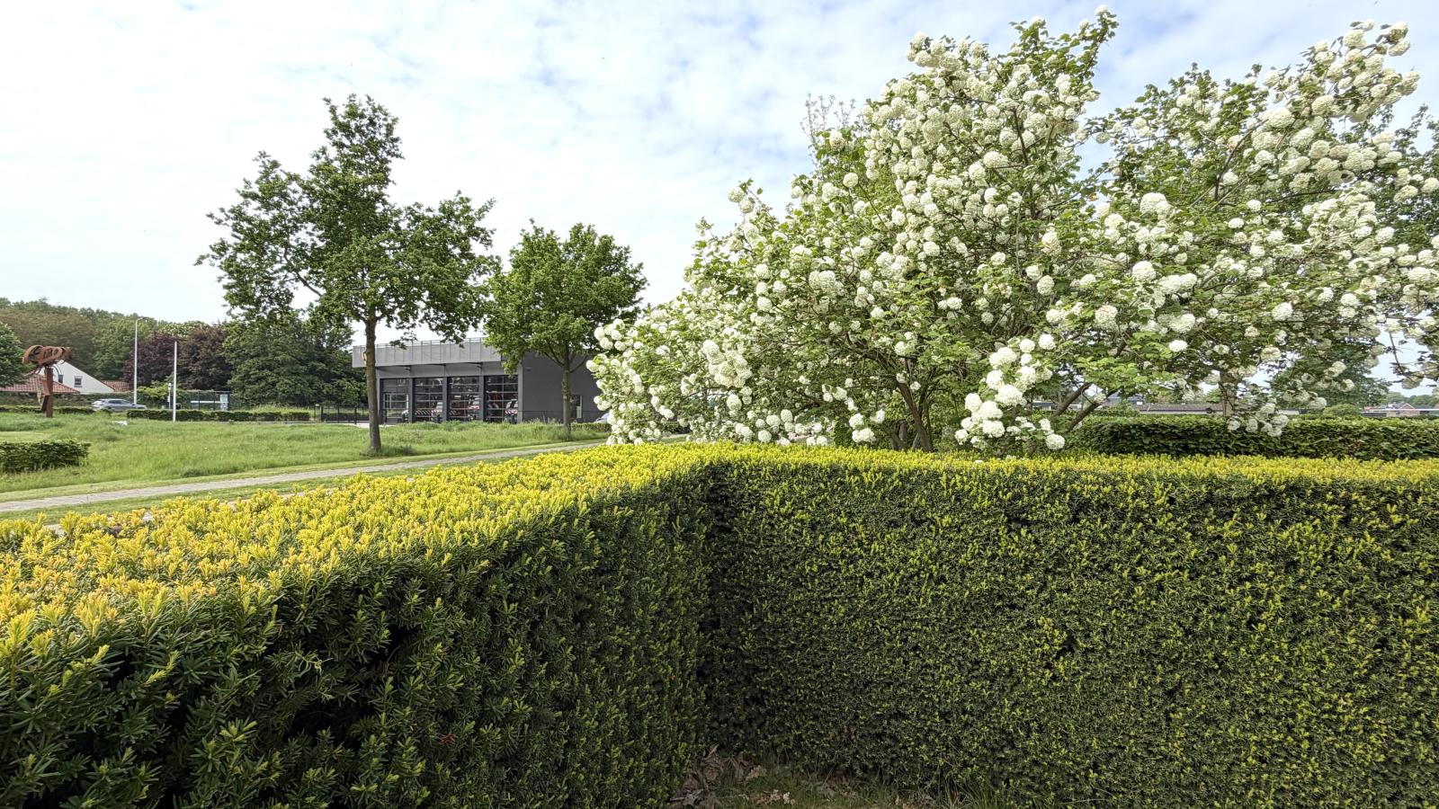 Laurahoeve - Garten Sommer