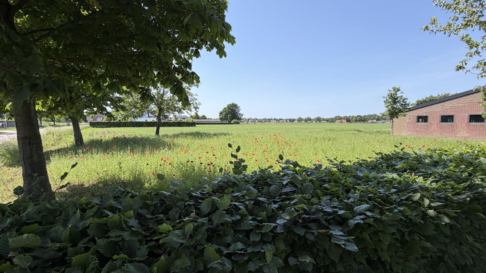 Laurahoeve - Uitzicht zomer