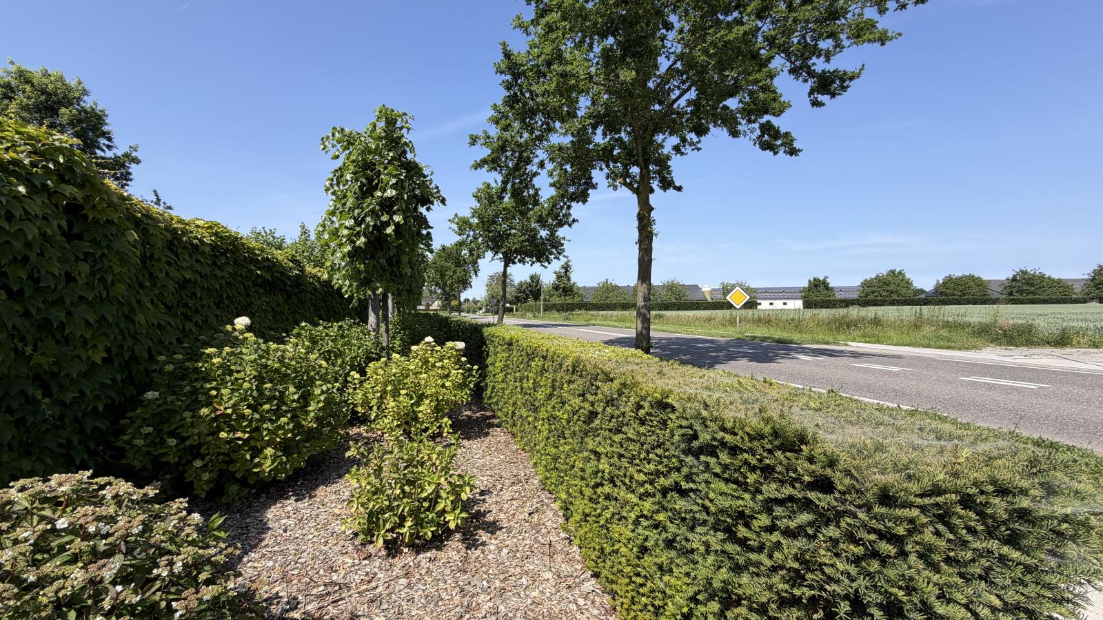 Laurahoeve - Uitzicht zomer