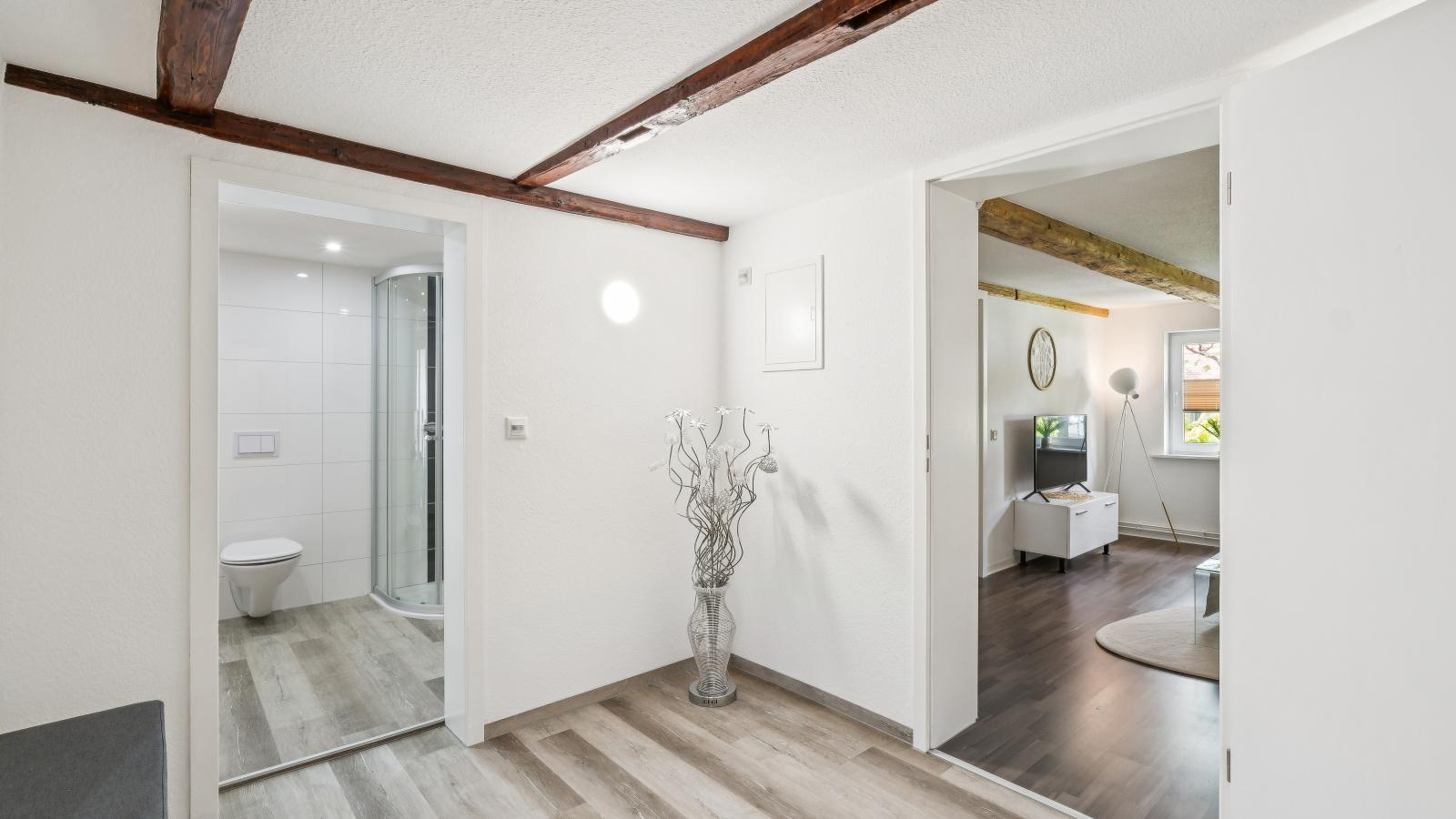 Modern apartments harz I - Flur
