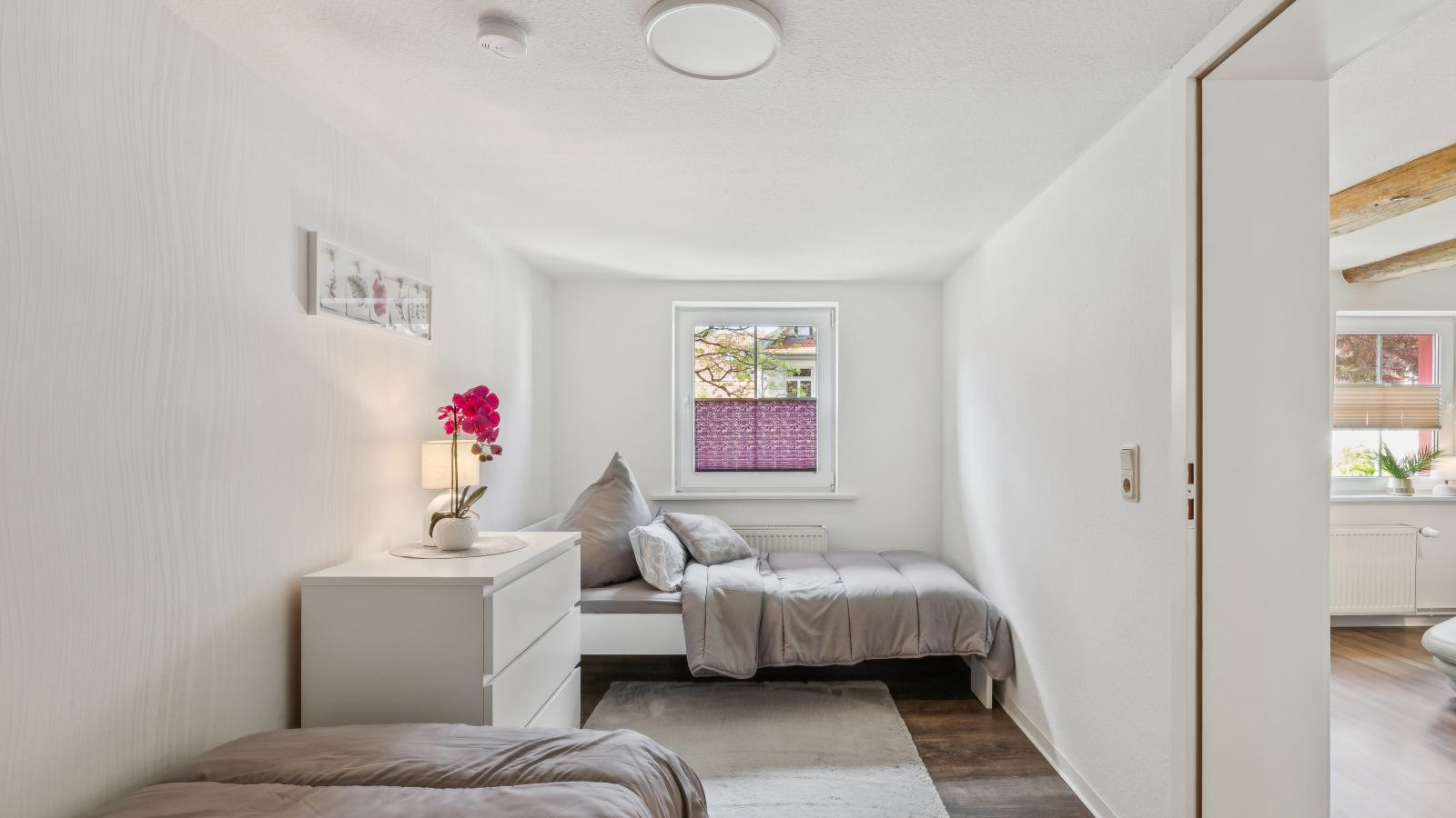 Modern apartments harz I
