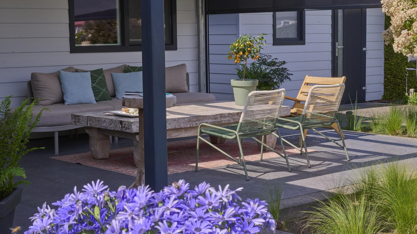 Bamboo - Terrasse / balcon