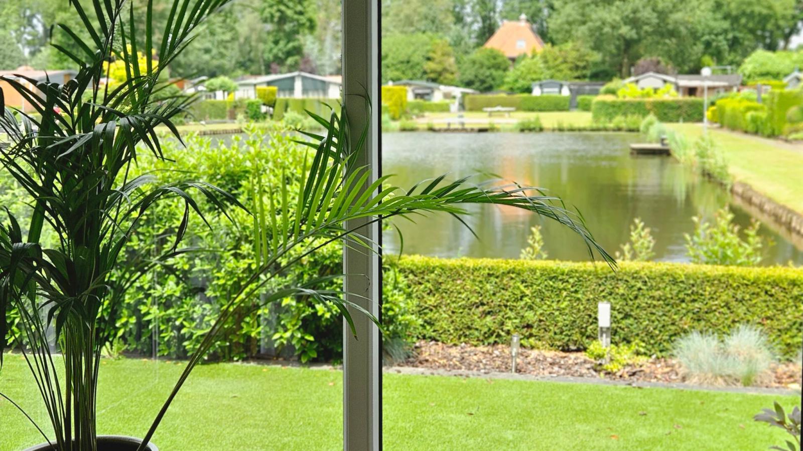 Bamboo - Uitzicht zomer