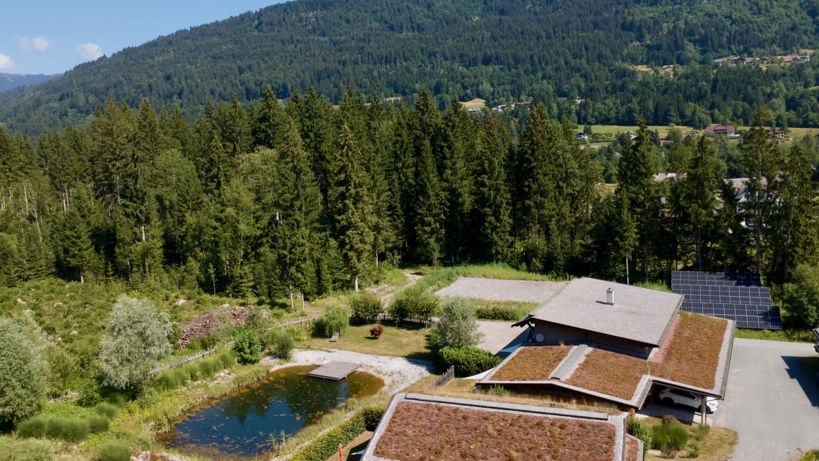 See Chalet 50 - Sfeer