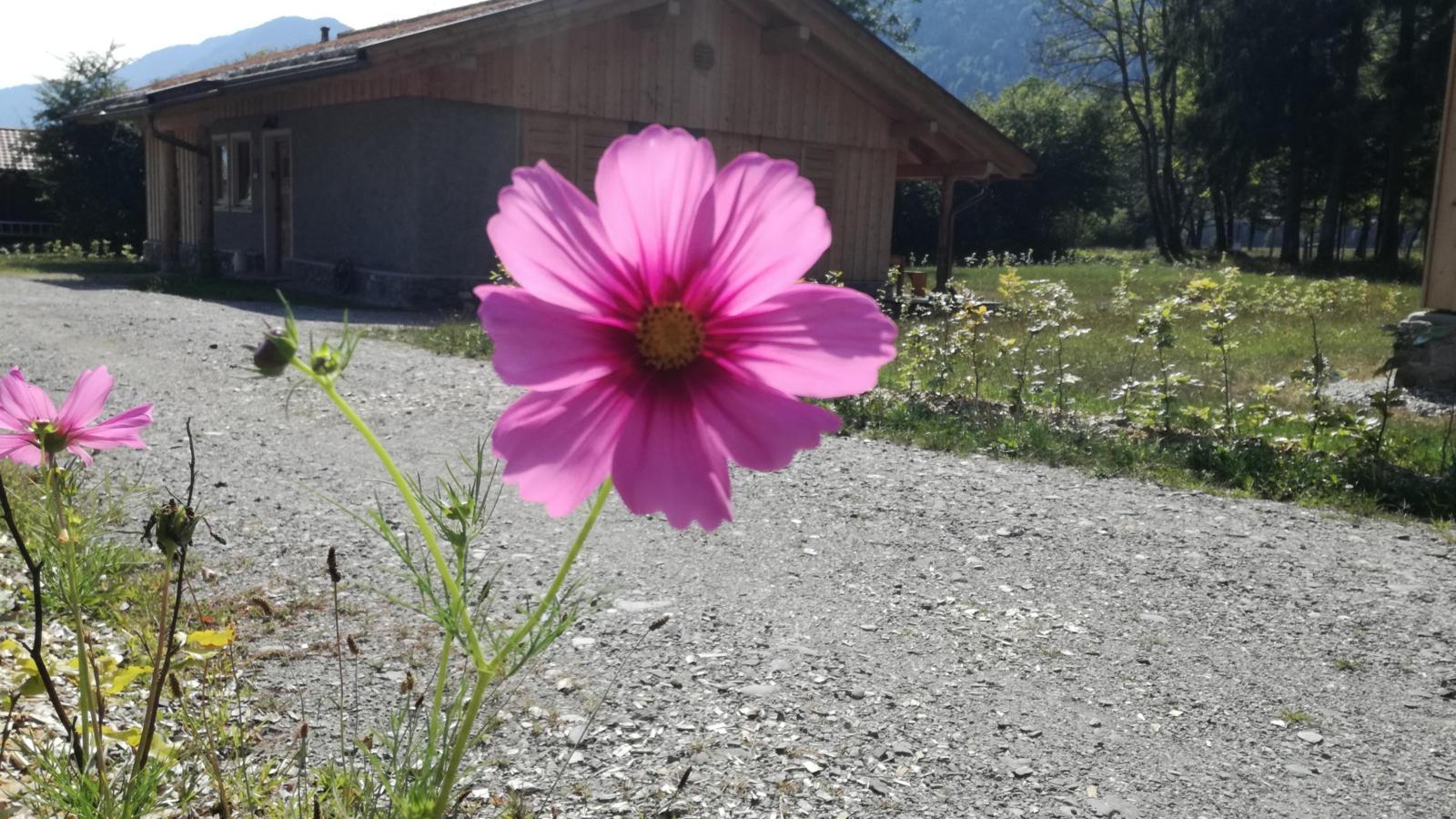 See Chalet 50 - Sfeer