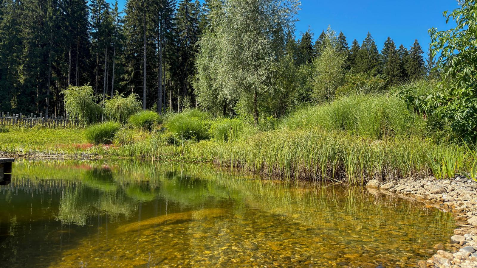 Trebas 51 - Gebiete Sommer 1 km