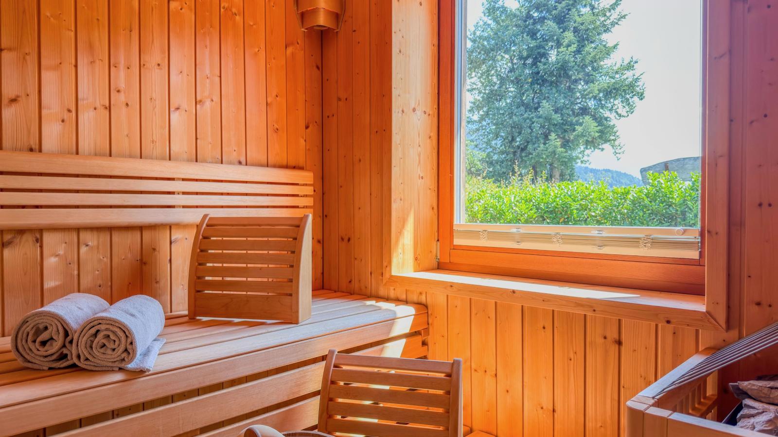 Trebas 51 - Sauna