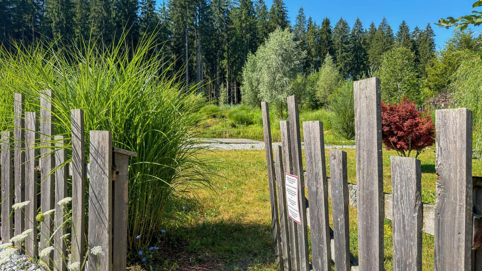 Trebas 51 - Gebiete Sommer 1 km