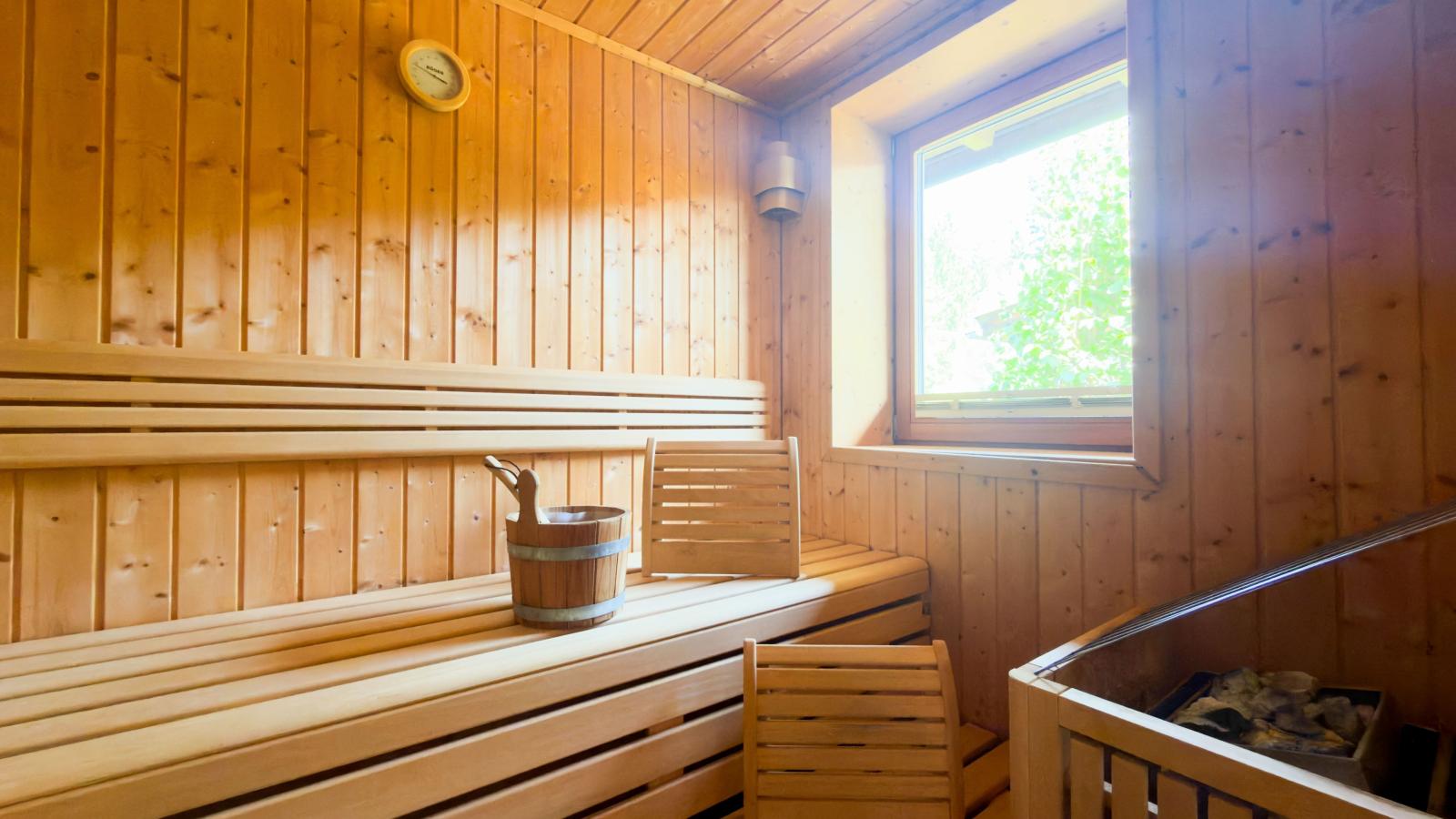 Auen 53 - Sauna