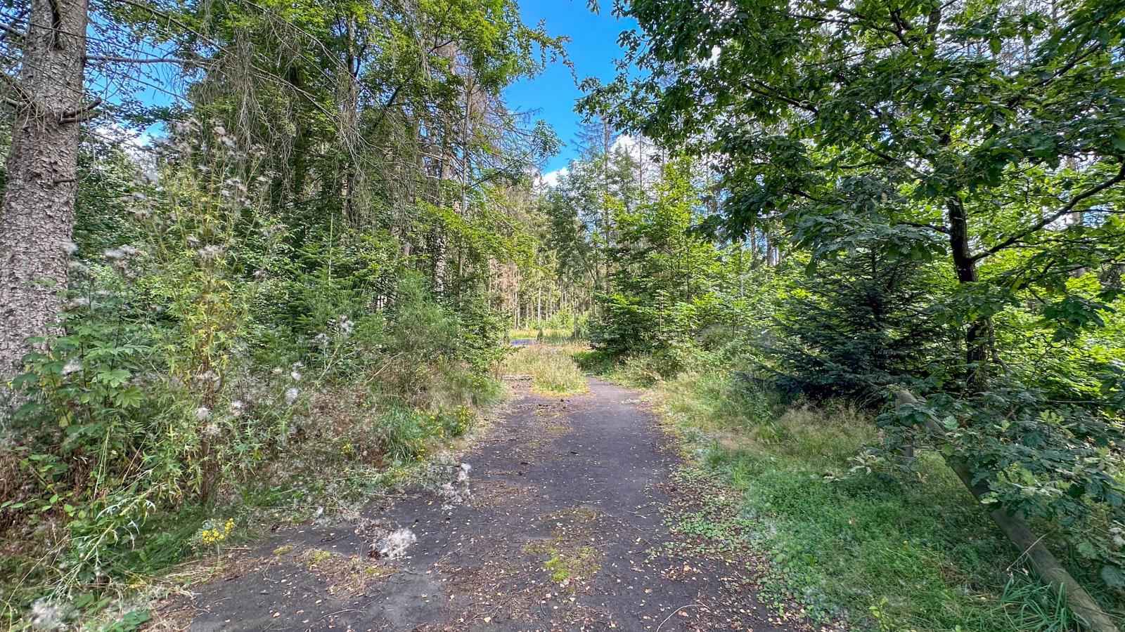 Landhuis Schneifel - Gebieden zomer 1km
