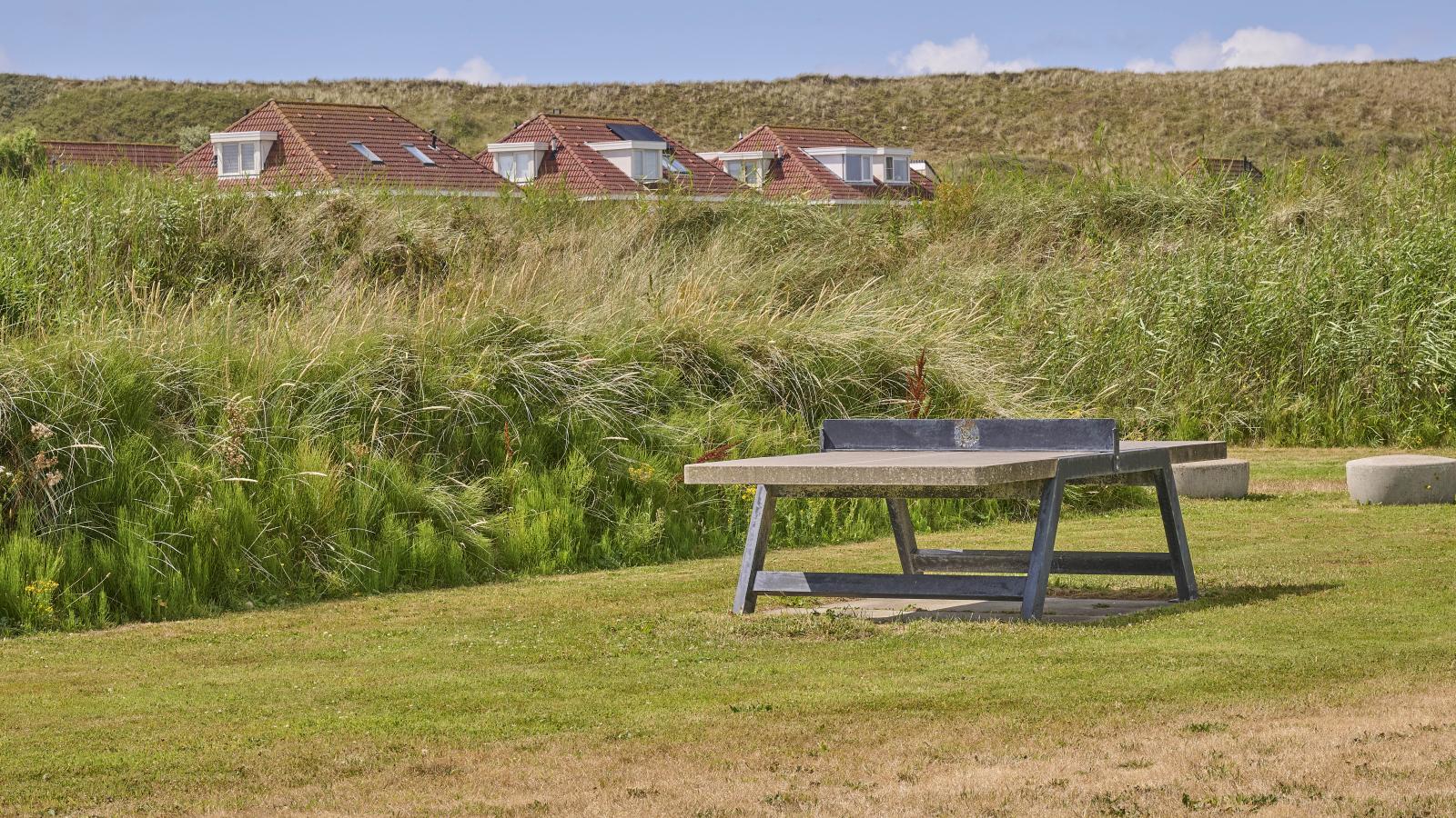 De Baai - Areas within 1km in summer