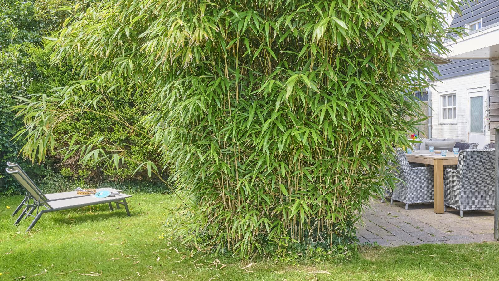 Strandzicht - Gardens in summer