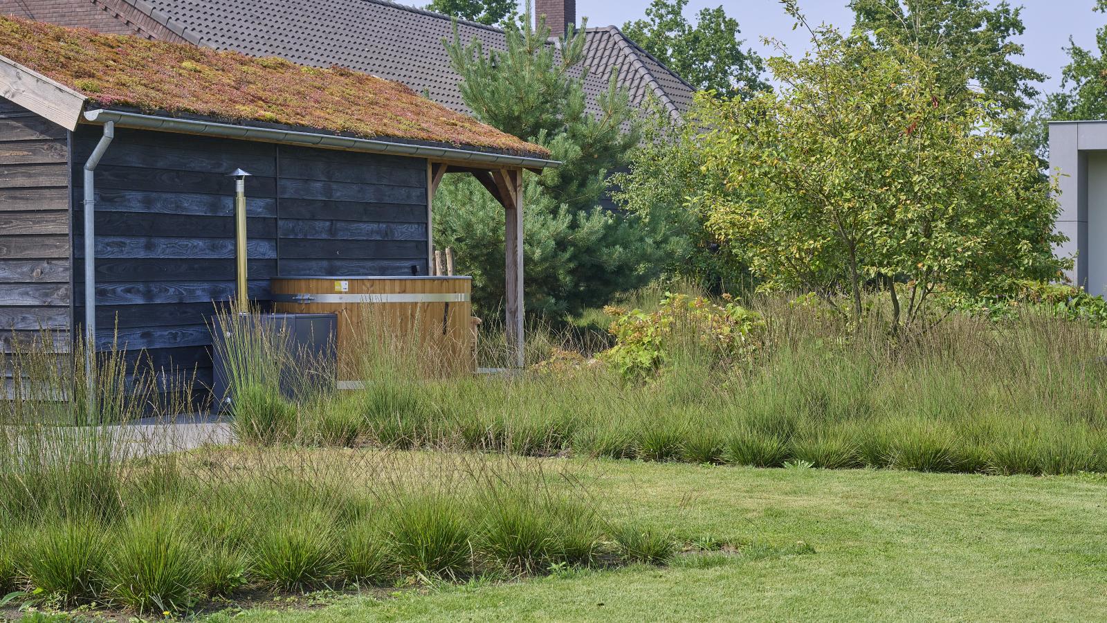 WOOD - Jardins en été