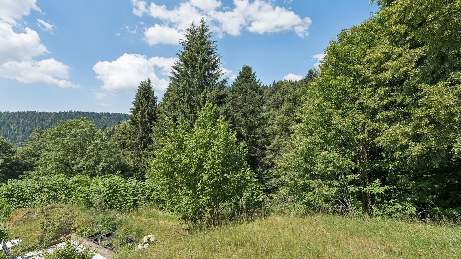 Fichtenhof am Wasserfall - Uitzicht zomer