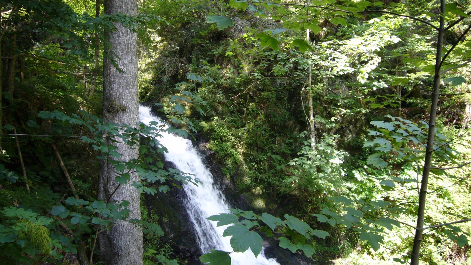 Fichtenhof am Wasserfall - Zones été à 1 km