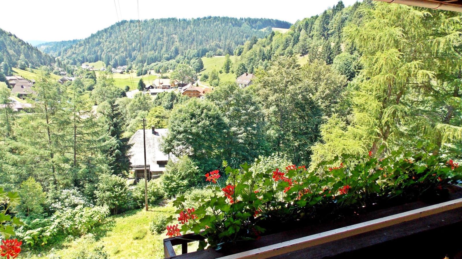 Fichtenhof am Wasserfall