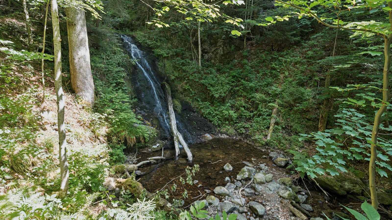 Fichtenhof am Wasserfall - Gebieden zomer 1km