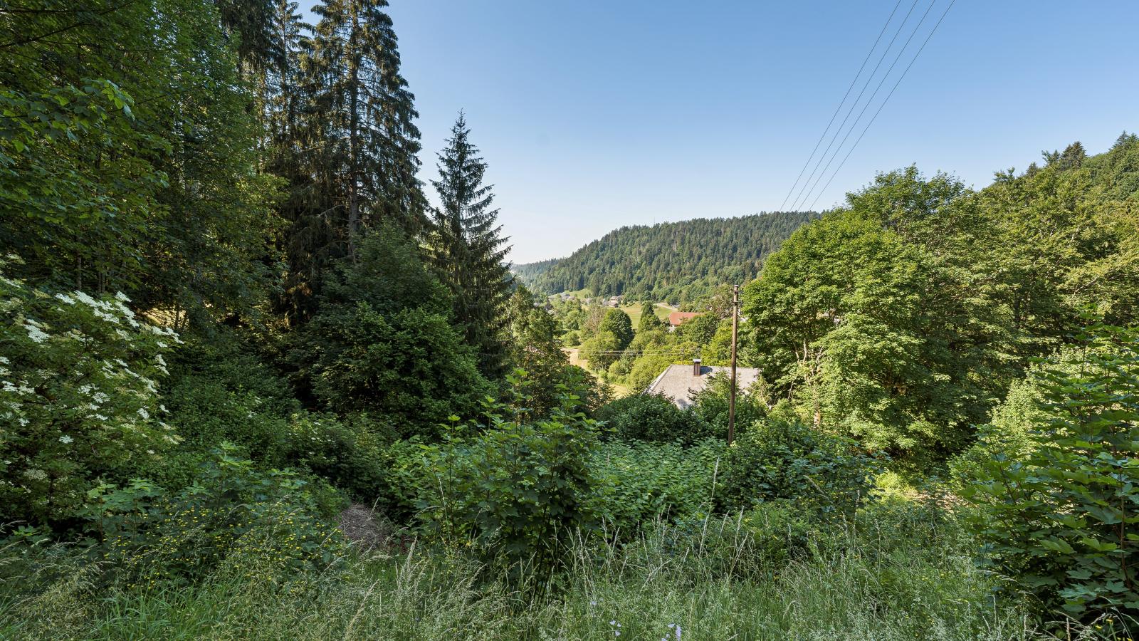 Fichtenhof am Wasserfall - Uitzicht zomer